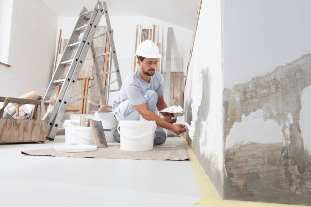 Best Drywall Removal and Disposal  in Skyline, AL